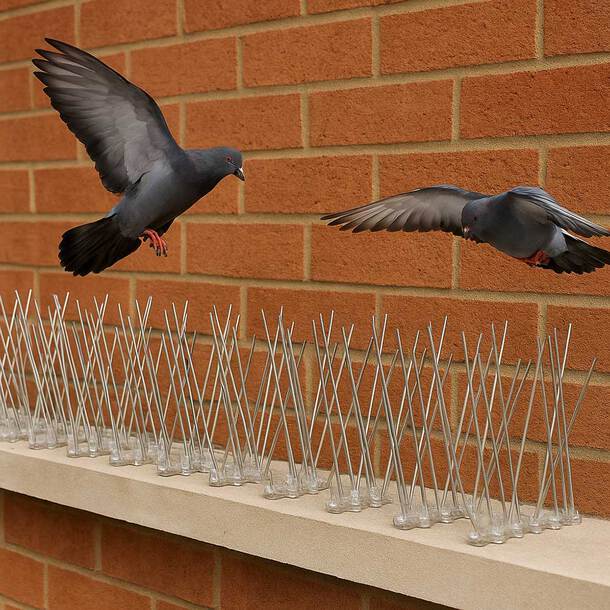 Bird Spikes Installation
