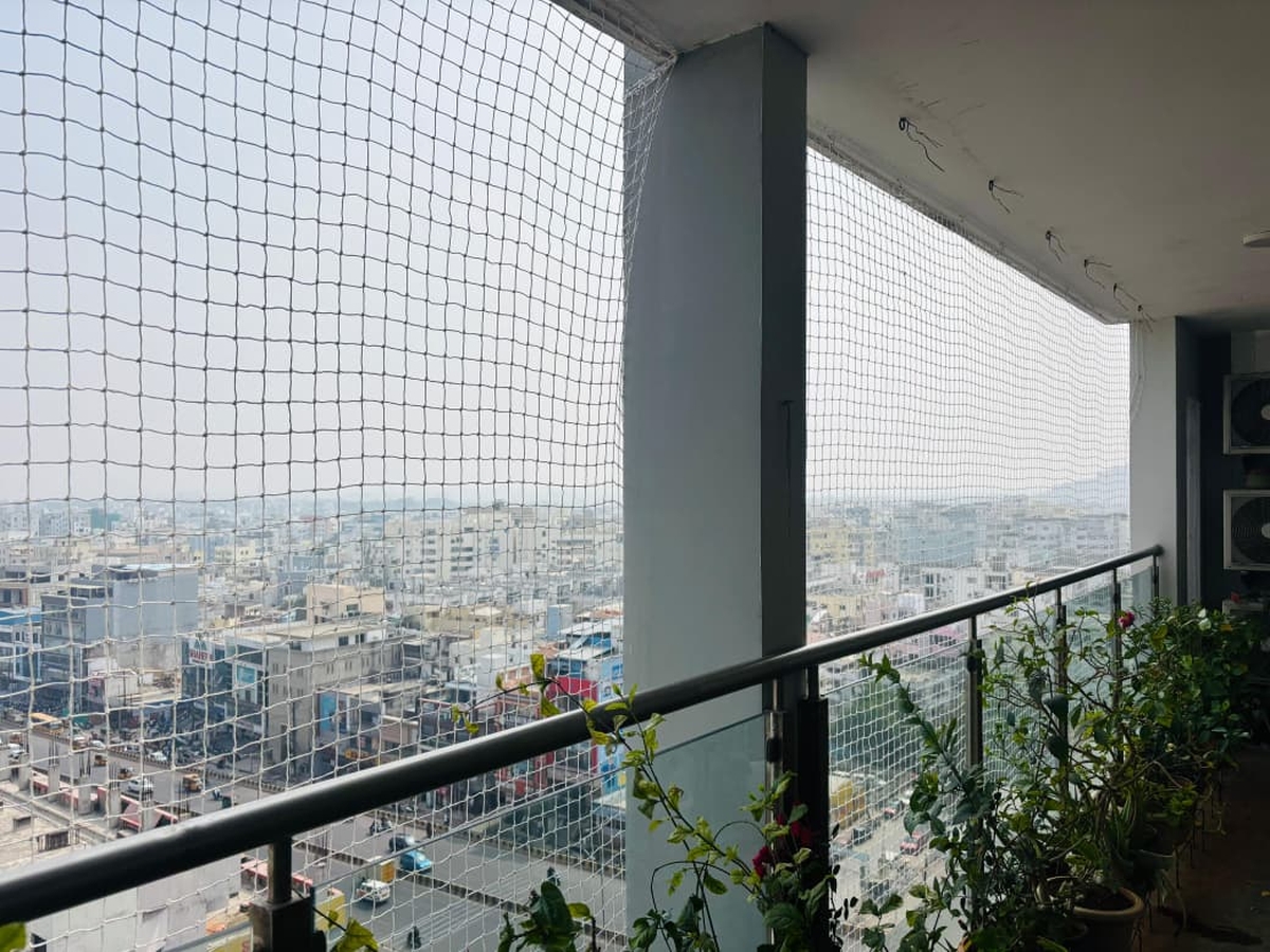 Pigeon Safety Nets Installation